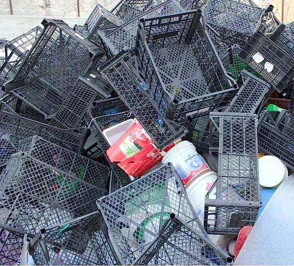 M�d�ro�lu Geri D�n���m