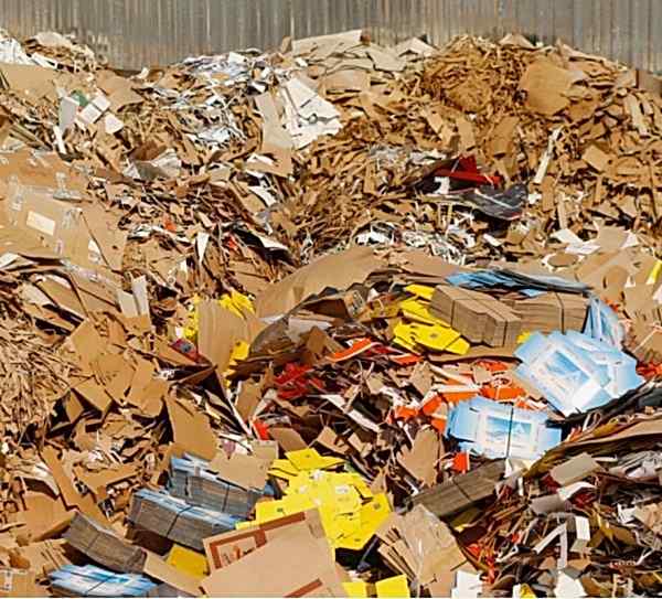 M�d�ro�lu Geri D�n���m